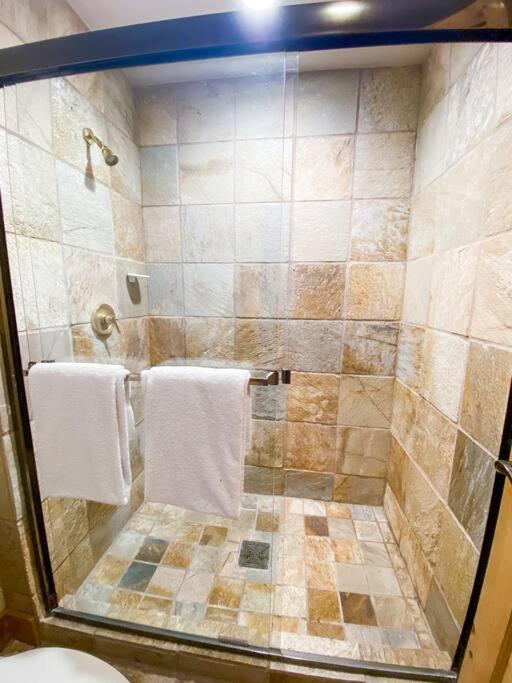 2 Bedroom - Luxury Skiin And Out * Telluride